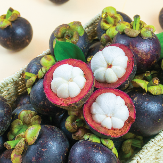 Măng cụt Bảo Lộc