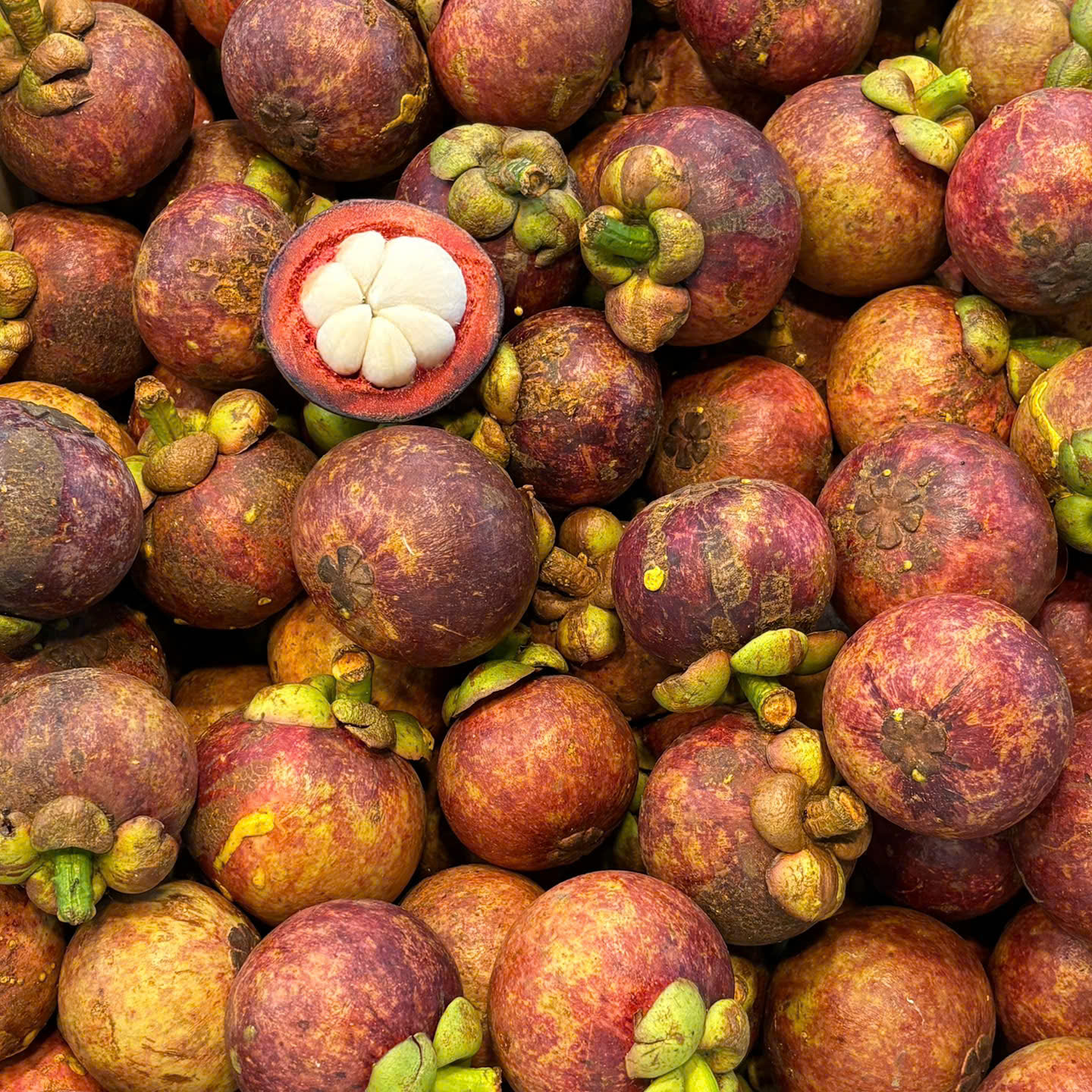 Măng cụt Lái Thiêu