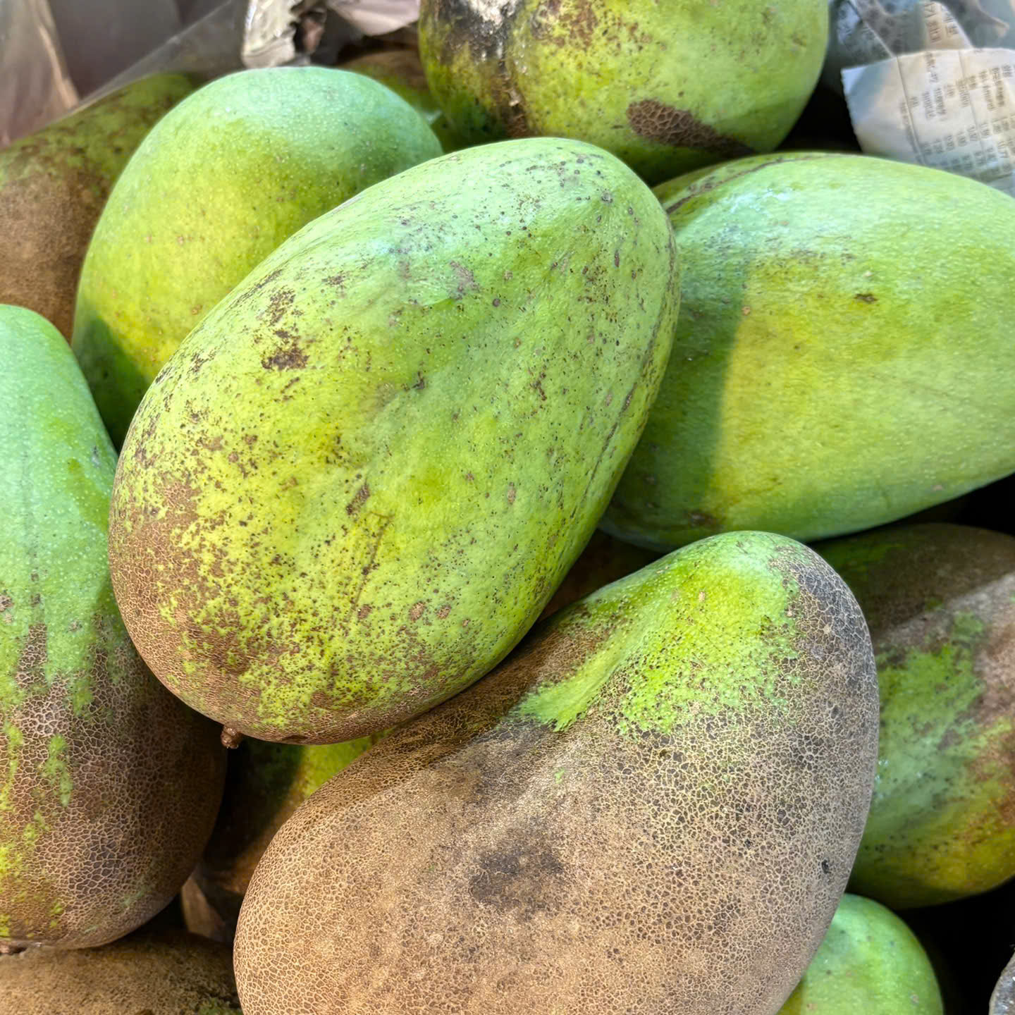 Xoài tứ quý tây Ninh