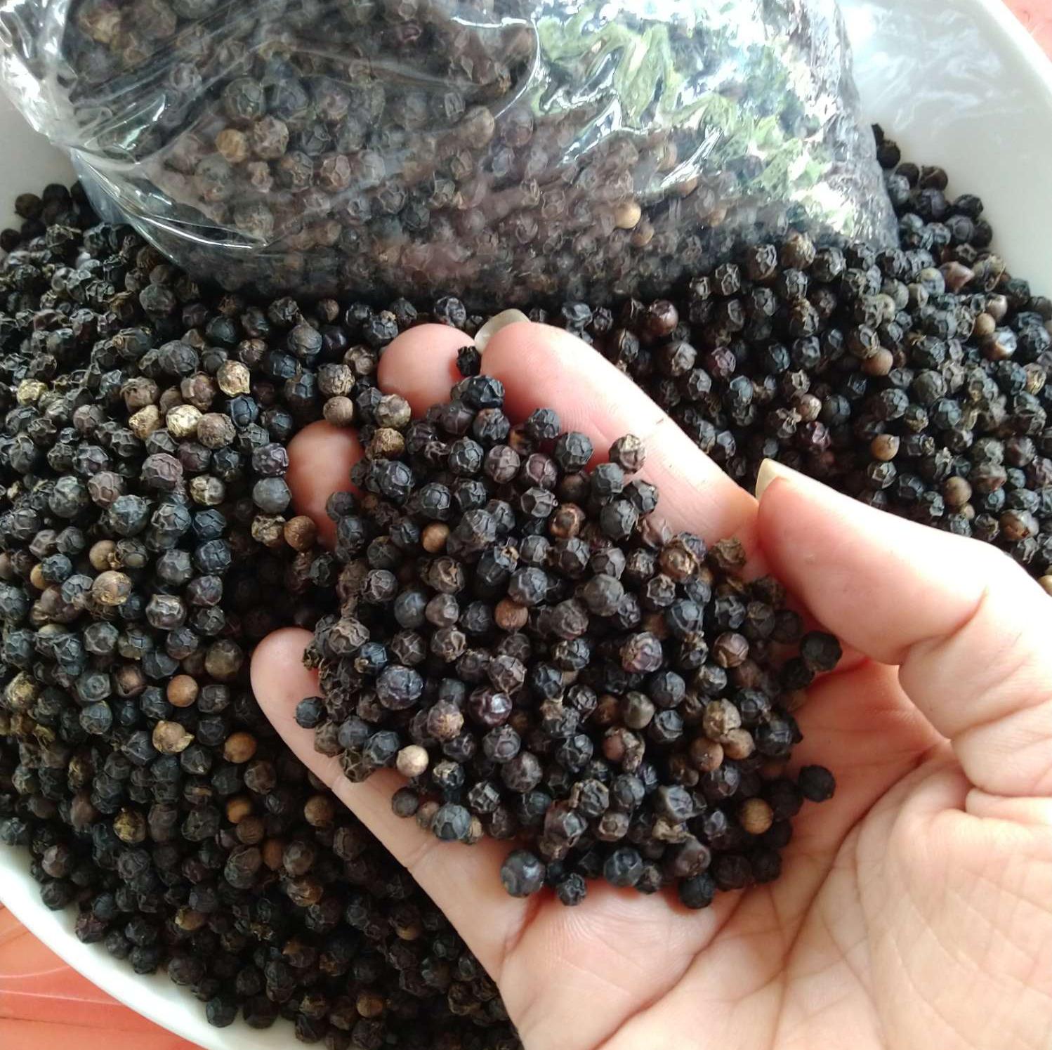 Hạt Tiêu Đen