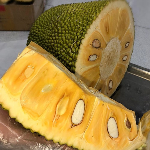 Mít Thái Miền Tây