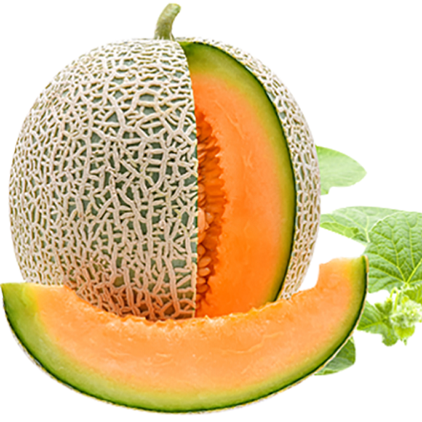 Dưa Lưới