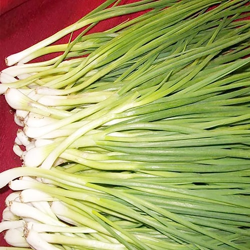 Hành Lá Lột Vỏ