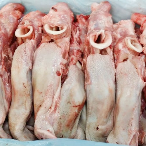 Lưỡi Heo có cuống NWT