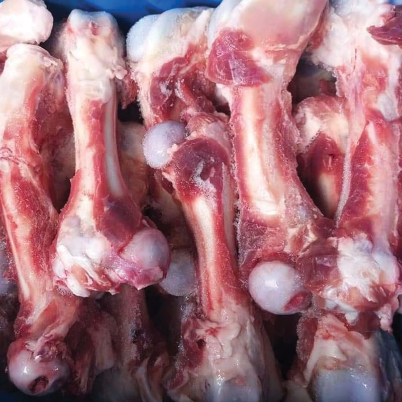 Xương ống heo sau