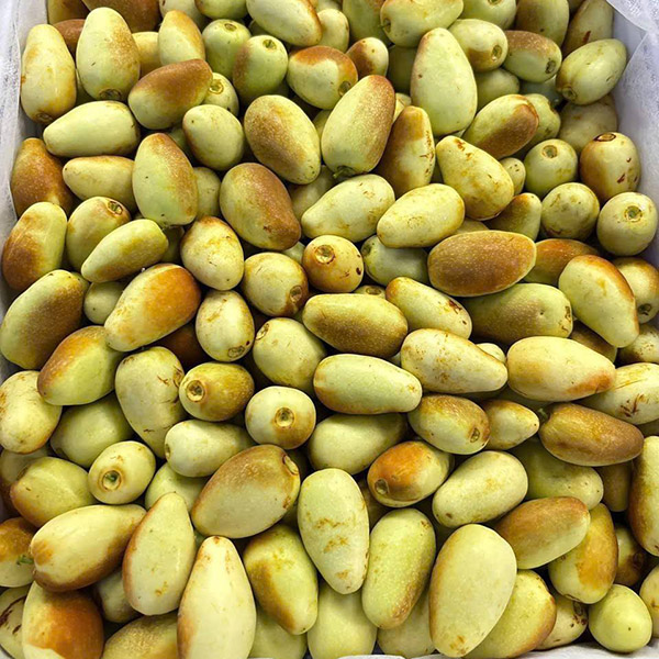 Táo tàu rổ